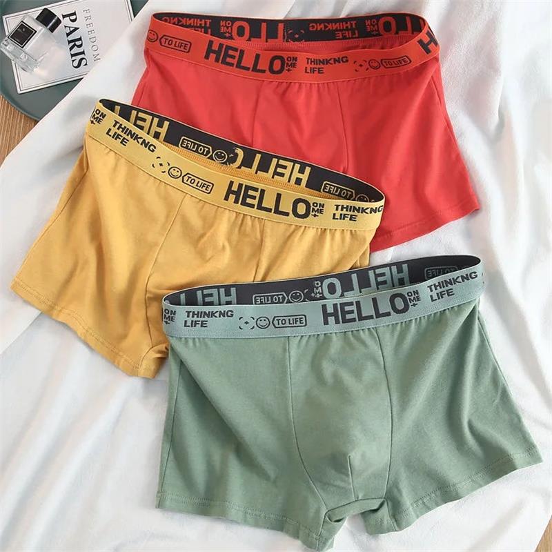 10Pieces/ Men's Underwear Men  - Boxer Brief Pack Cotton บทวิจารณ์และราคา