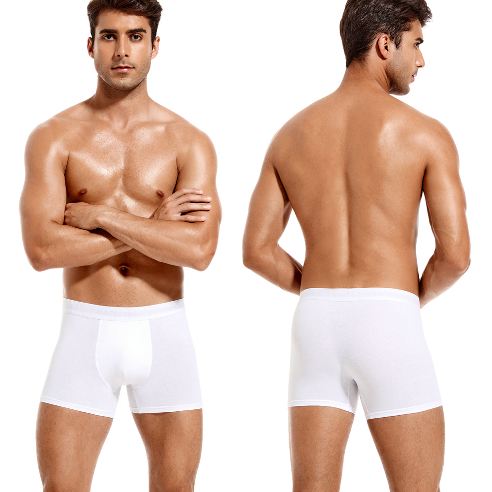 6pcs White Men Panties Cotton  - Boxer Shorts Modal บทวิจารณ์และราคา