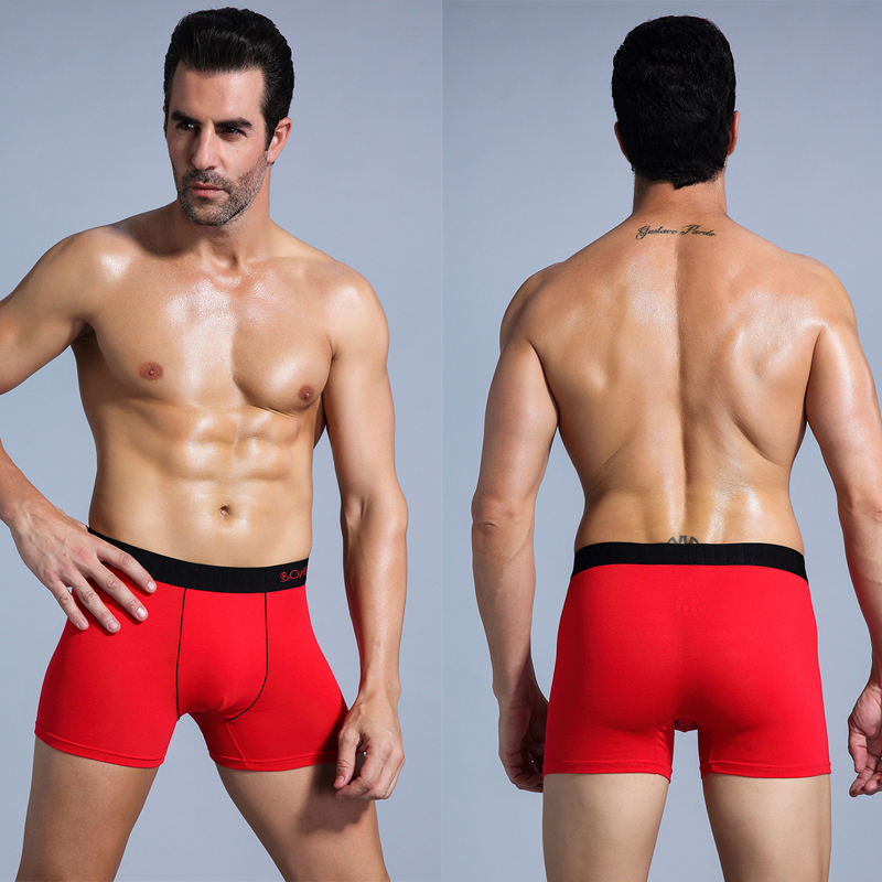 6pcs White Men Panties Cotton  - Boxer Shorts Modal บทวิจารณ์และราคา