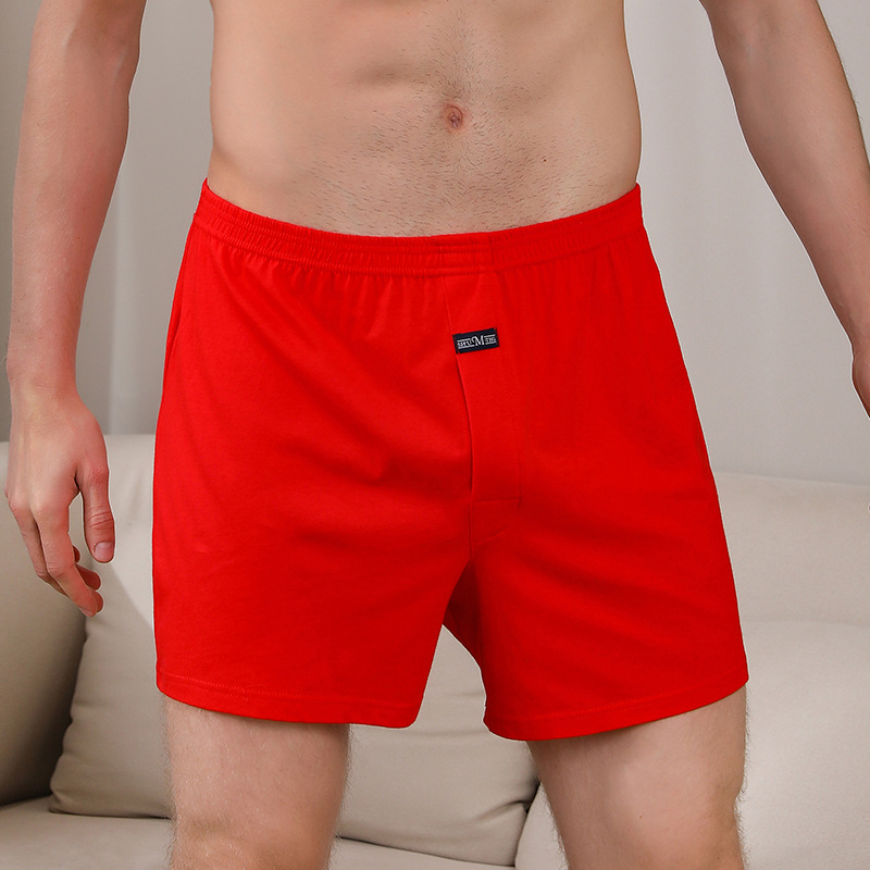 1PCS Men's Underwear Aro Pants - Boxer Brief Pack Cotton บทวิจารณ์และราคา