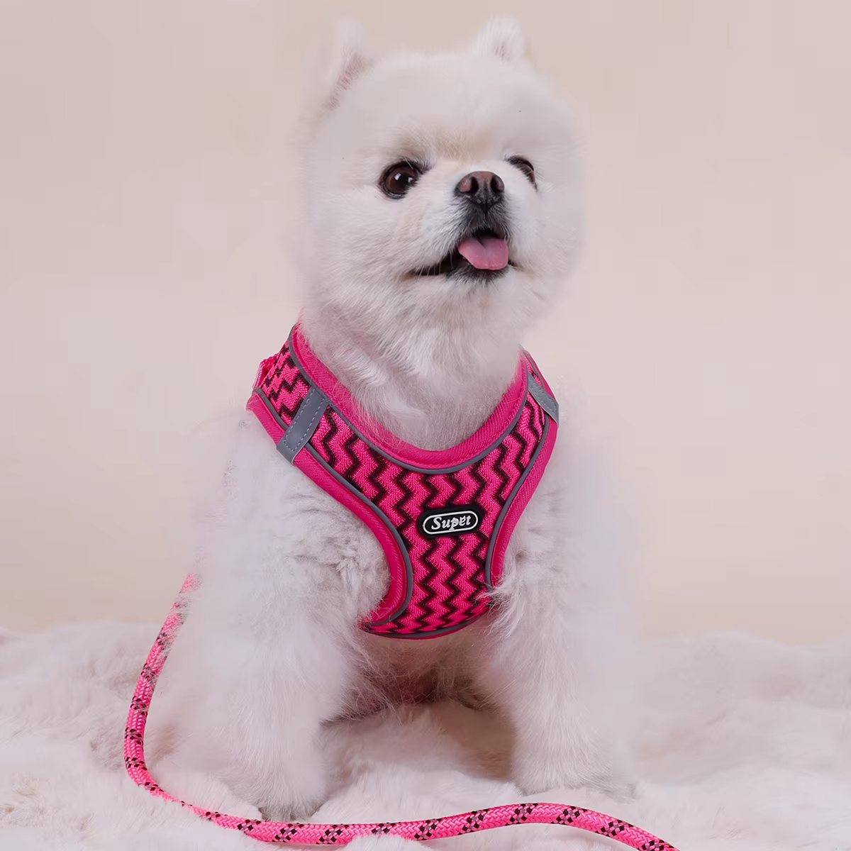 Supet Pet Cat and Dog Chest St - Suspender Tank Top บทวิจารณ์และราคา