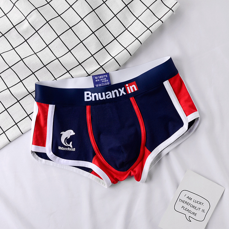 Man Underwear Fashion Youth Co - Boxer Brief Pack Cotton บทวิจารณ์และราคา