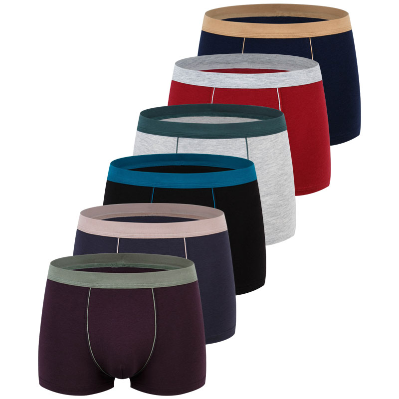 Large Size Seamless Underwear  - Multi Pack Underwear บทวิจารณ์และราคา